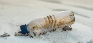 beach clean