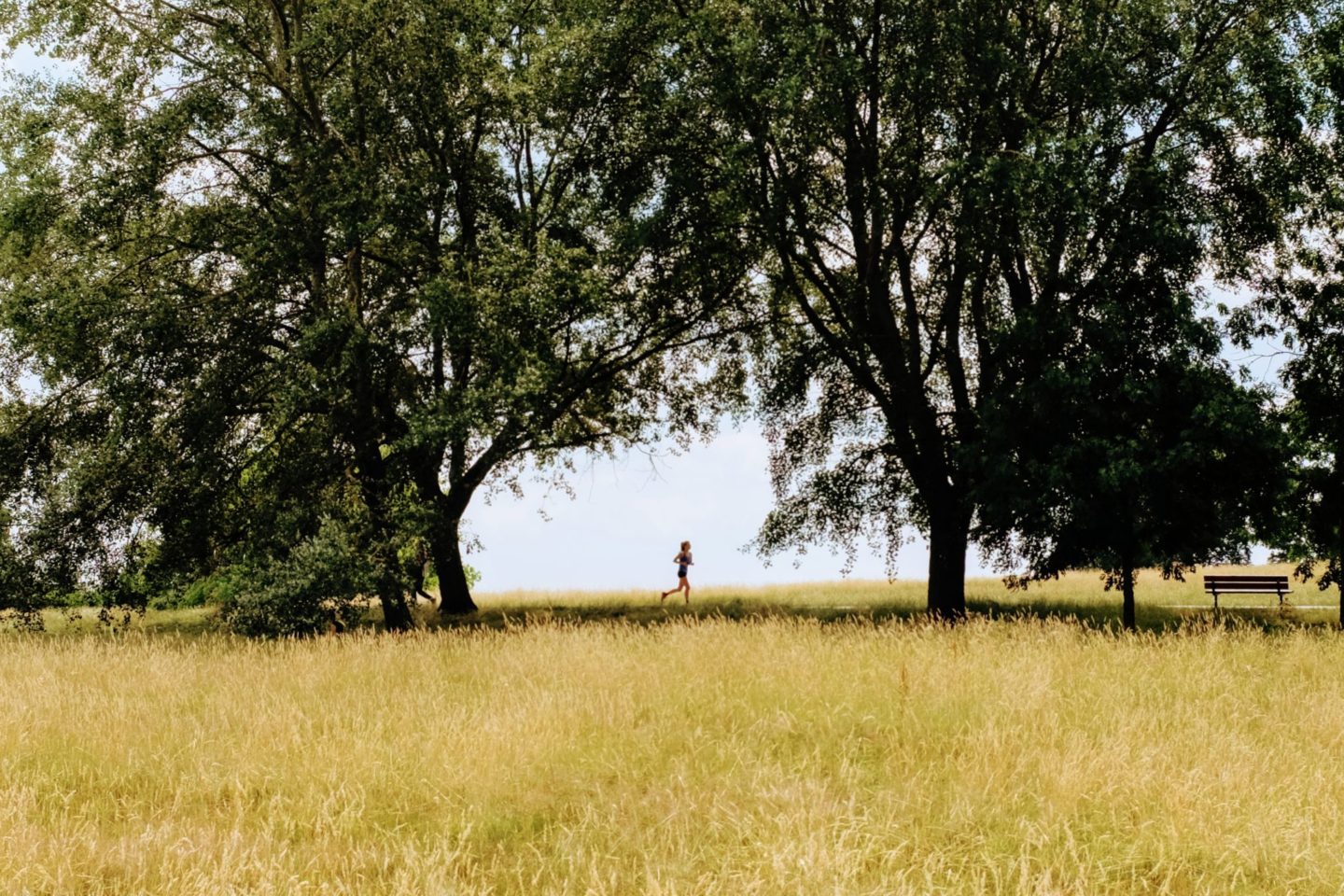 Hampstead Heat - Best Park in London