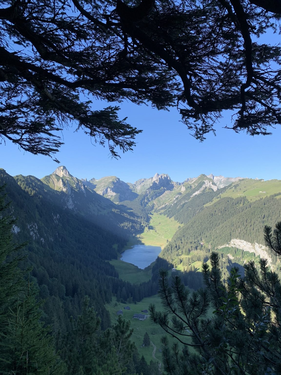 Appenzell Hiking Guide: The Best Hikes in Appenzell
