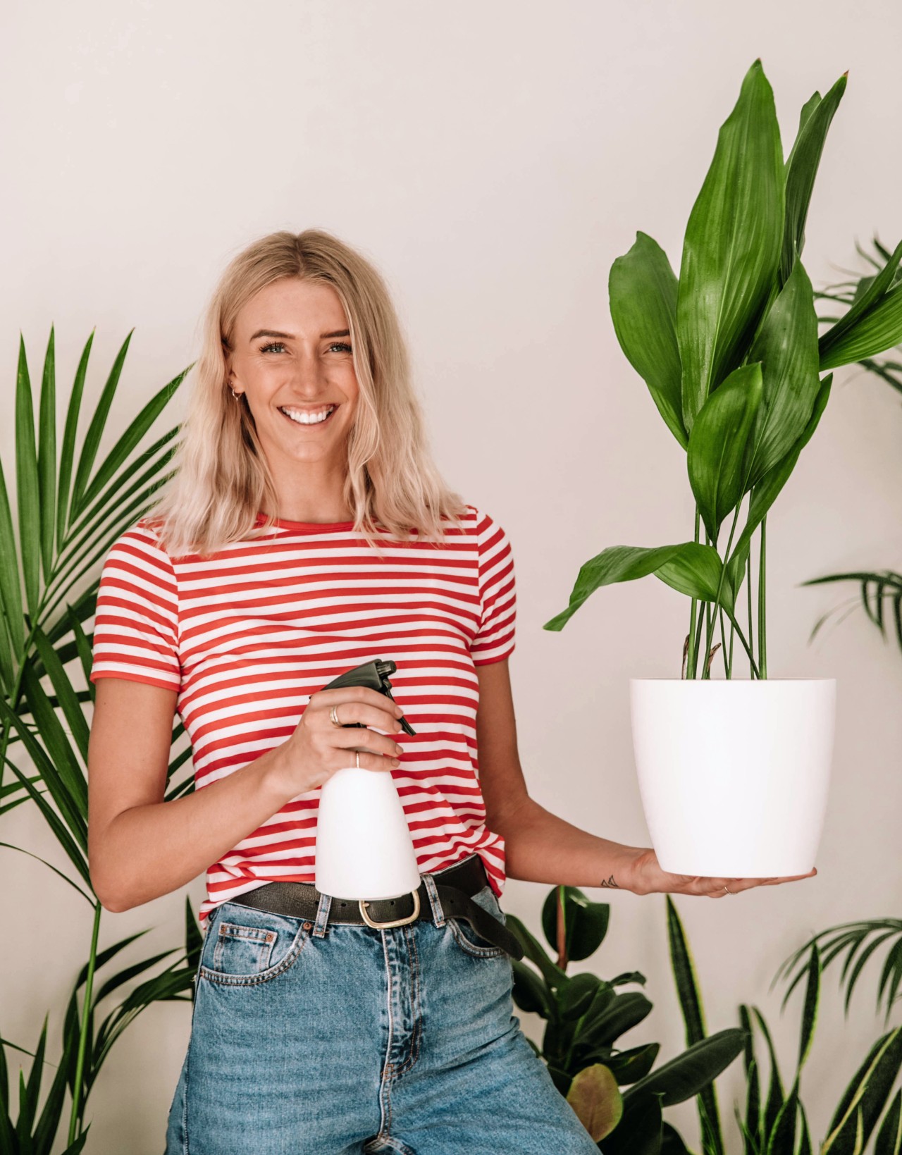 beginners guide to houseplants