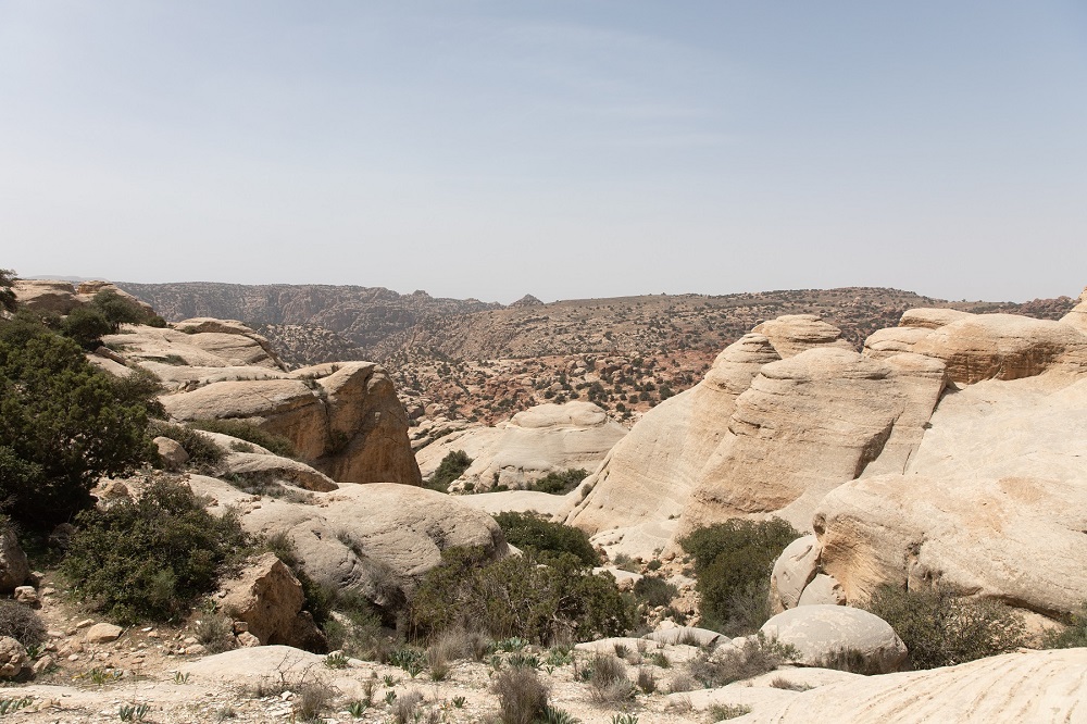 british travelling to jordan