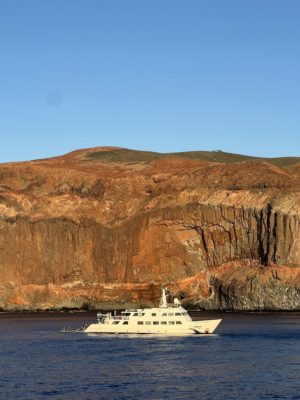 Socorro Island - Revillagigedo Archipelago