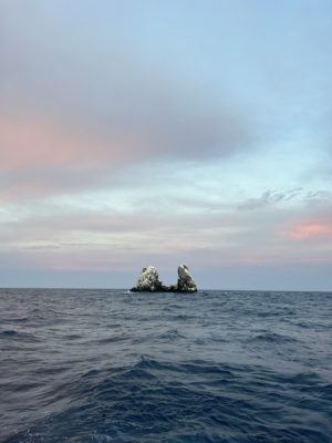 Socorro Island - Revillagigedo Archipelago