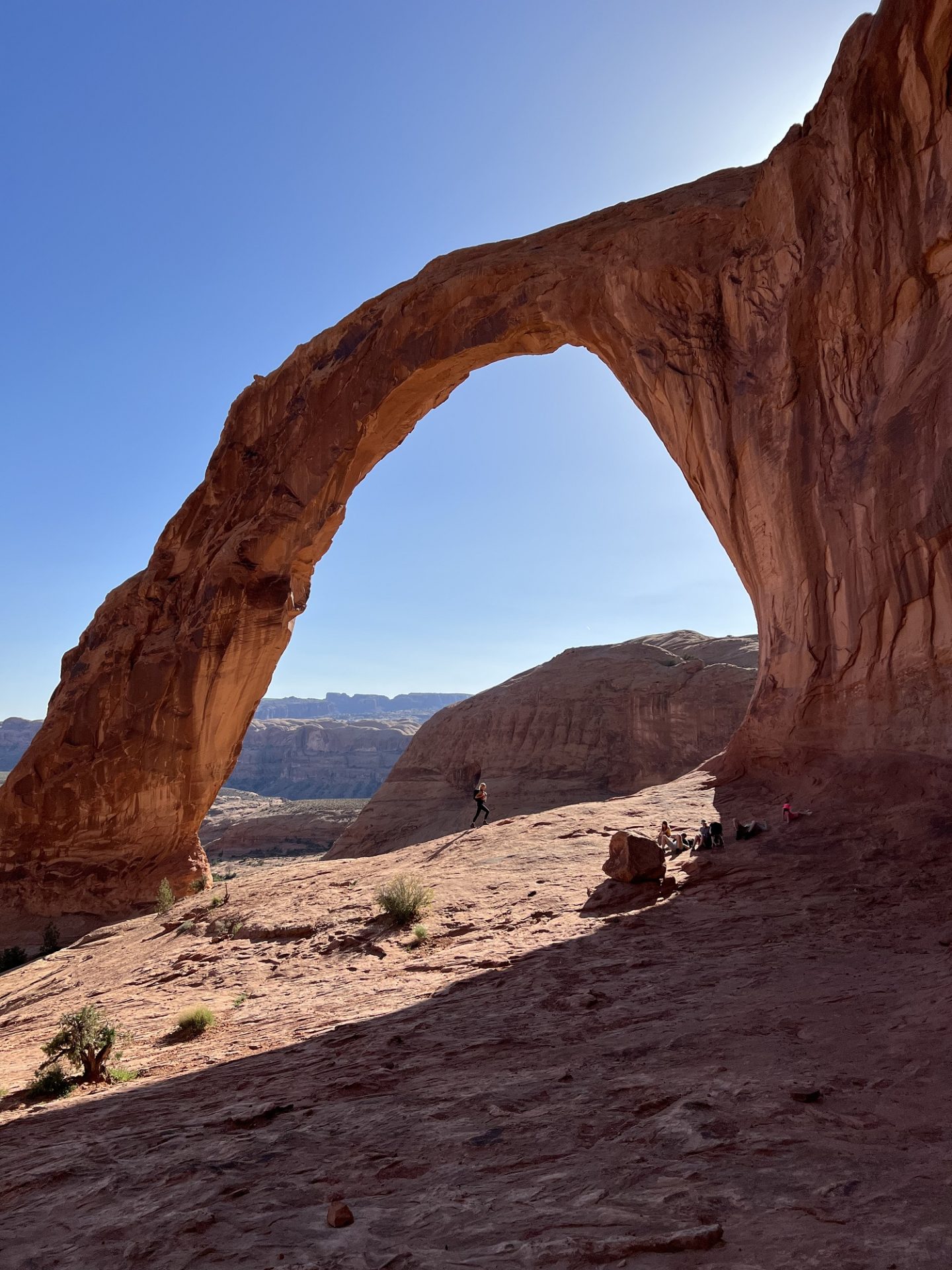 top hikes to do when visiting Arches National Park