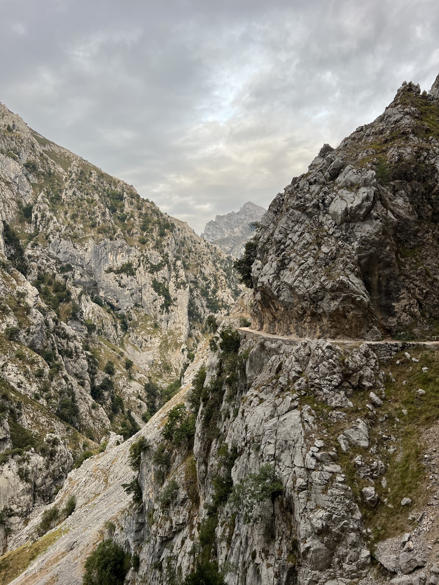 picos de europa hiking guide