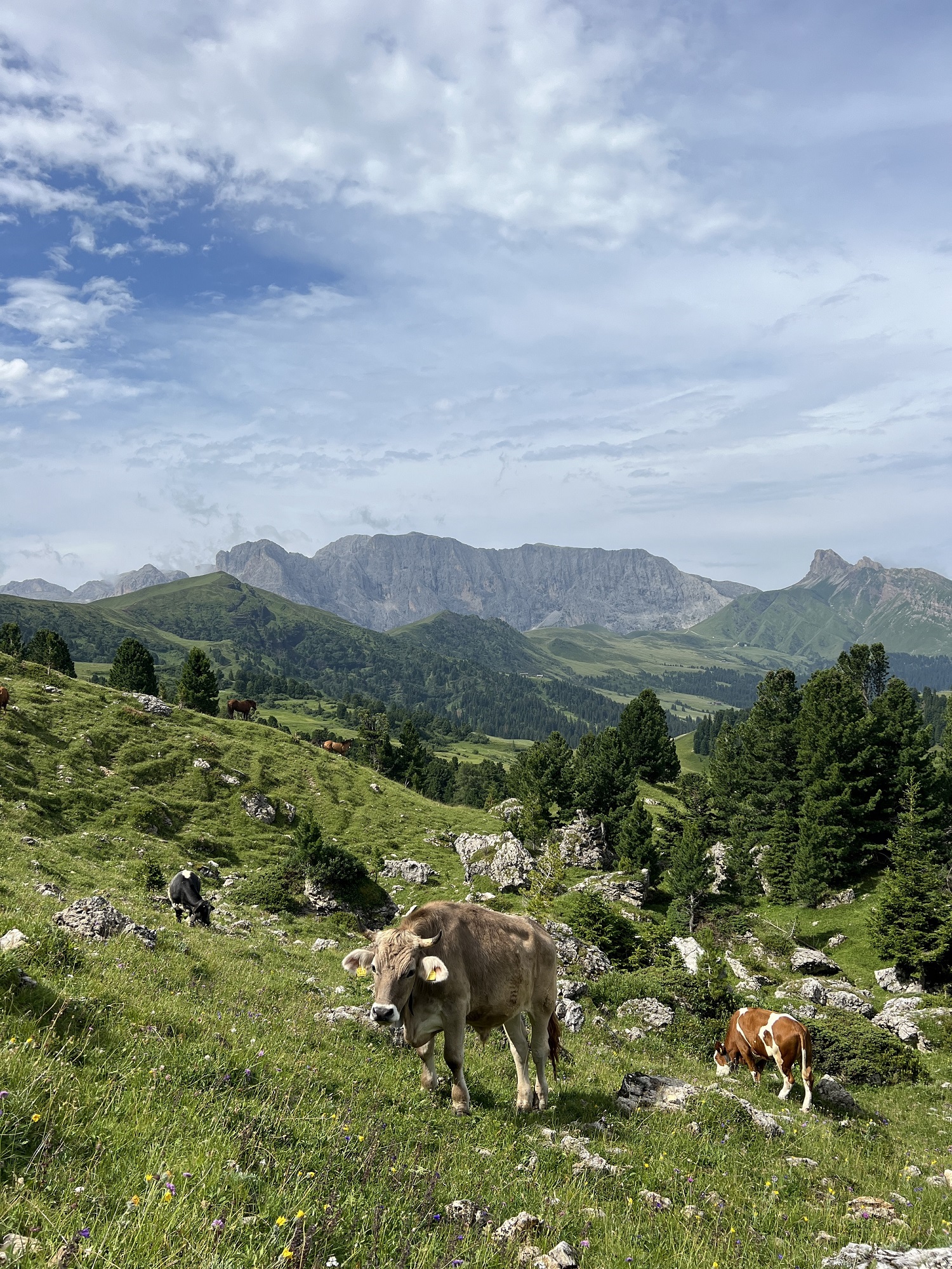 alta badia - best hikes in dolomites