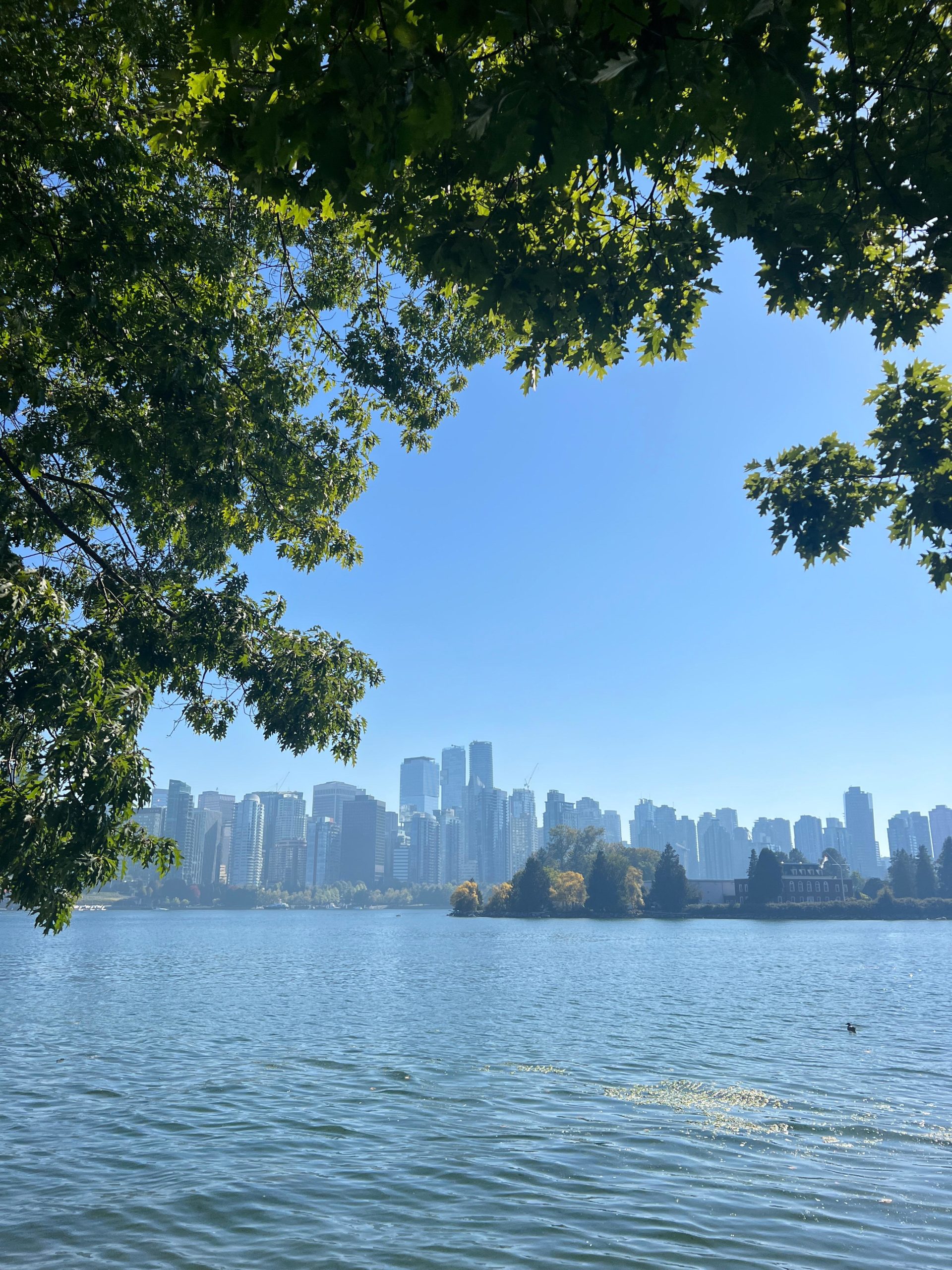 Vancouver skyline viewed from the water's edge - Canada Road Trip Itinerary