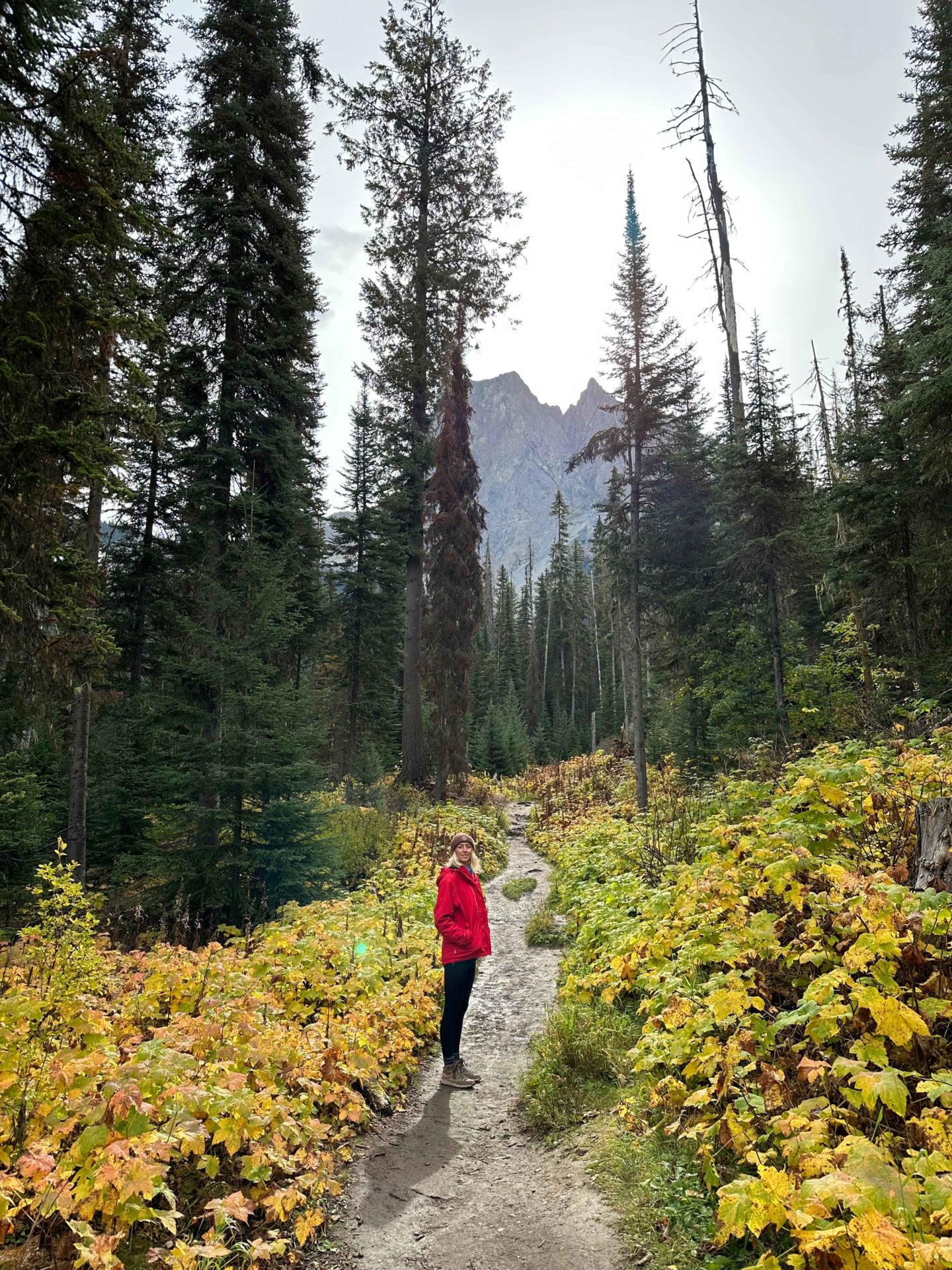 Zanna van Dijk walking through Yoho National Park surrounded by mountains and trees - Canada Road Trip Itinerary
