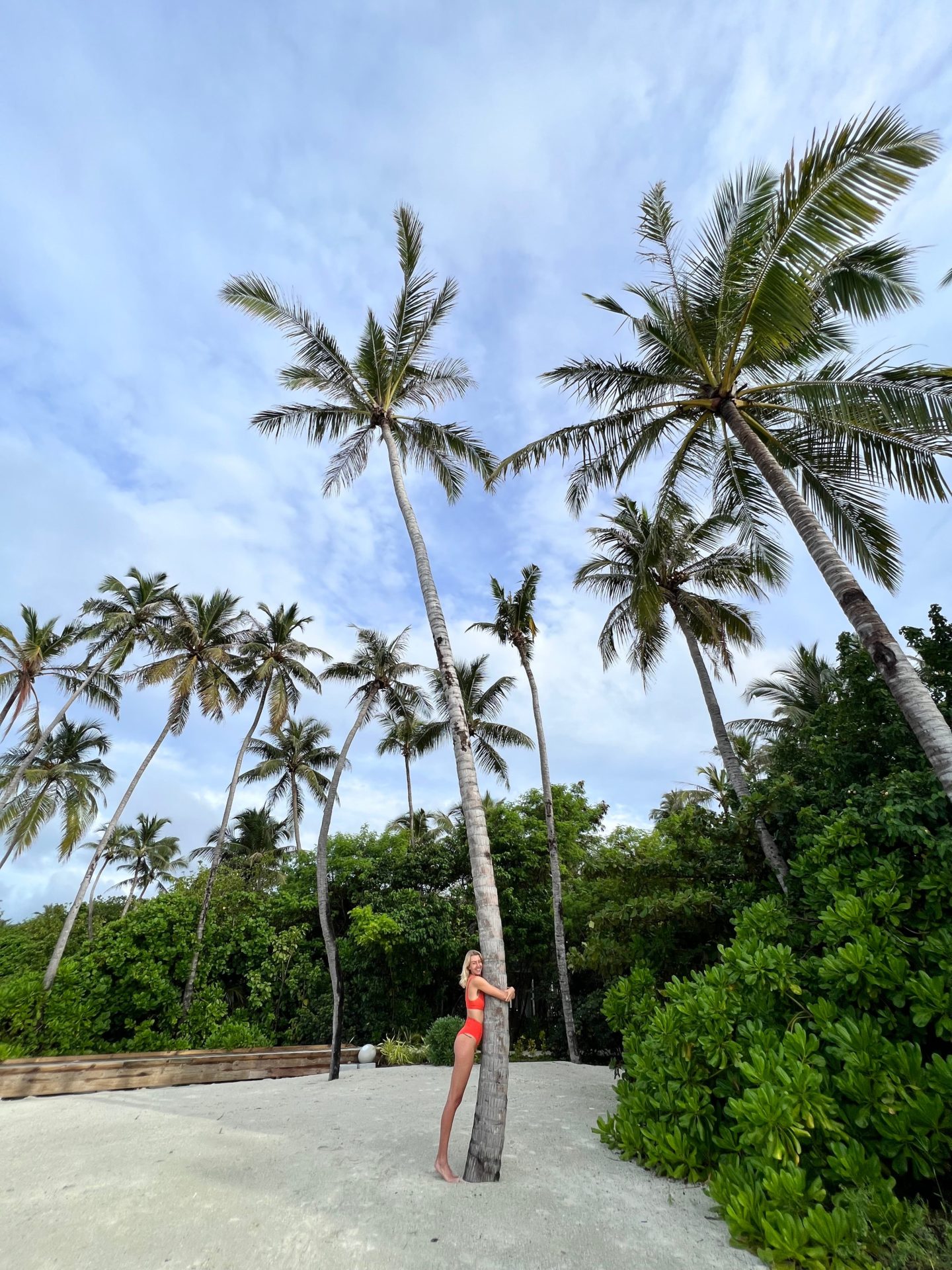 Zanna van Dijk in the Maldives, hugging a palm tree