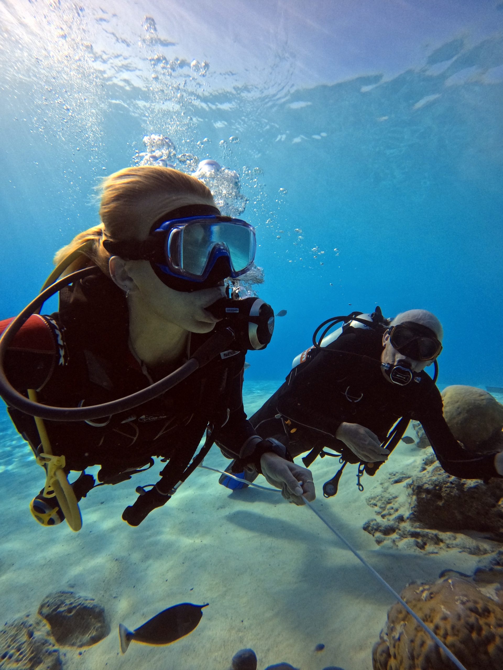 Two people diving in the Maldives