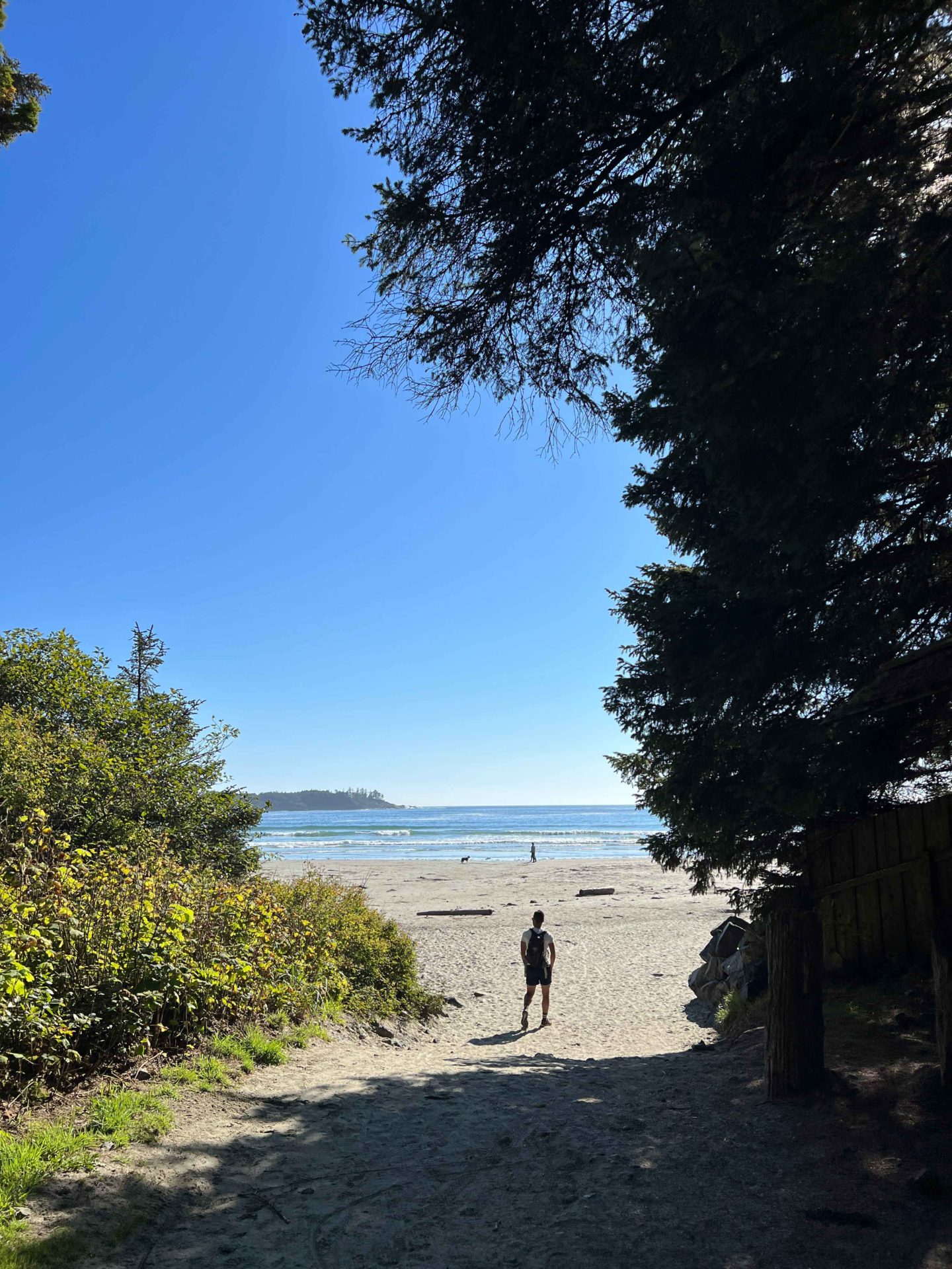 The beach in Tofino, Vancouver Island - - Canada Road Trip Itinerary