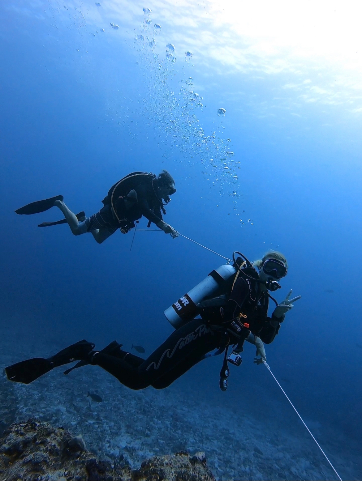 Two people diving in the Maldives