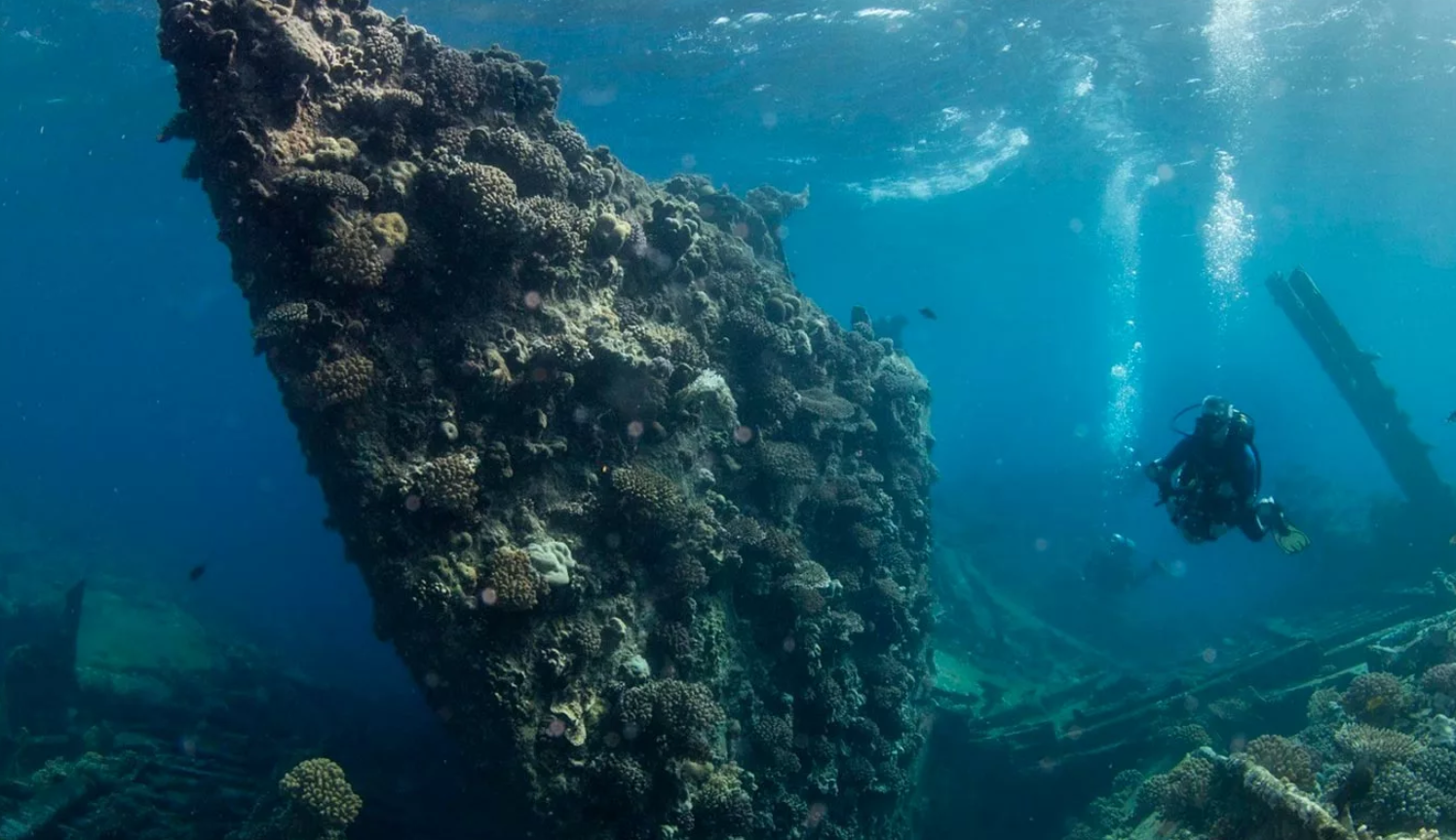 A diver explores a shipwreck in the Red Sea, Egypt