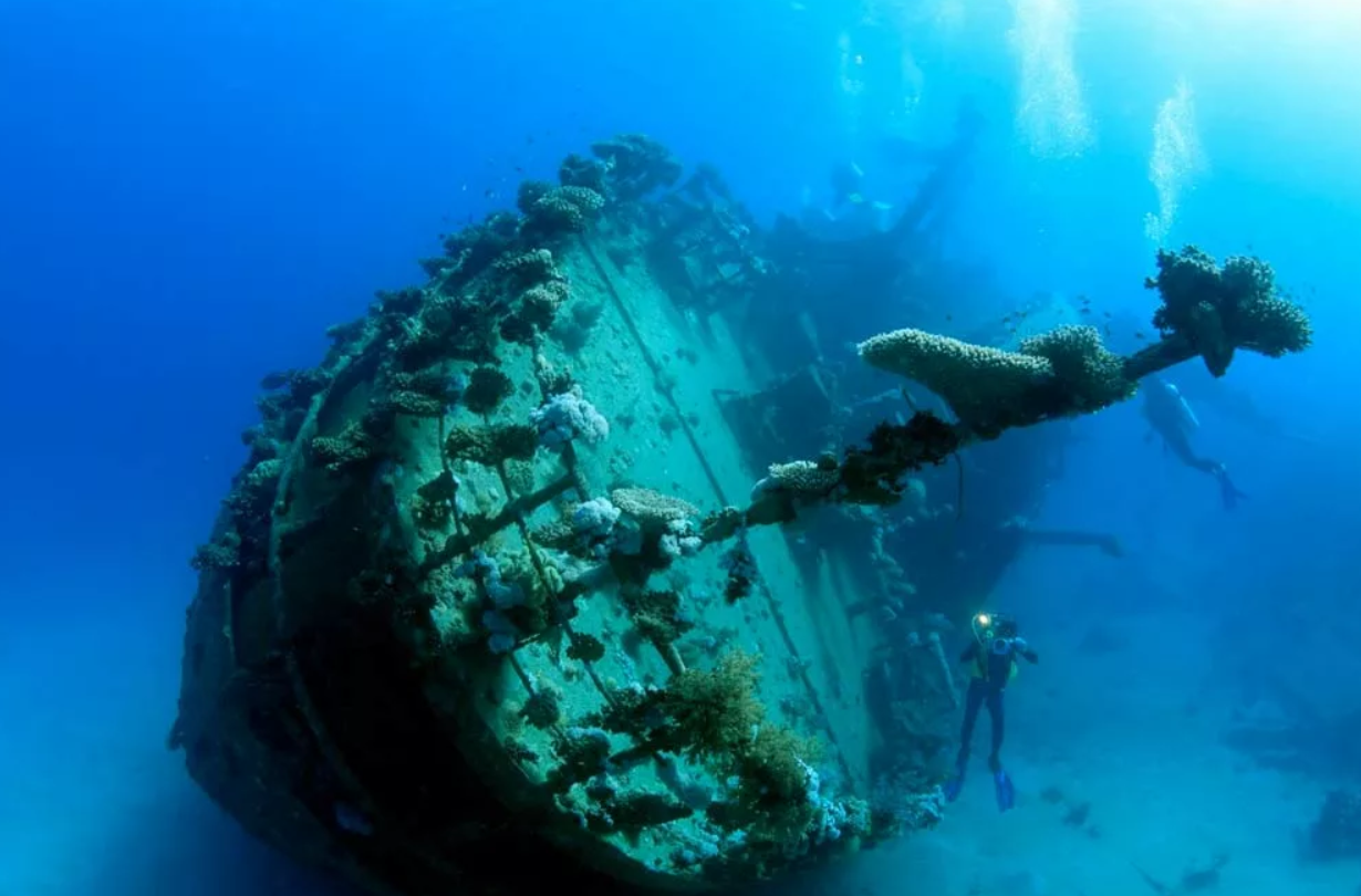 A diver explores a shipwreck in the Red Sea, Egypt