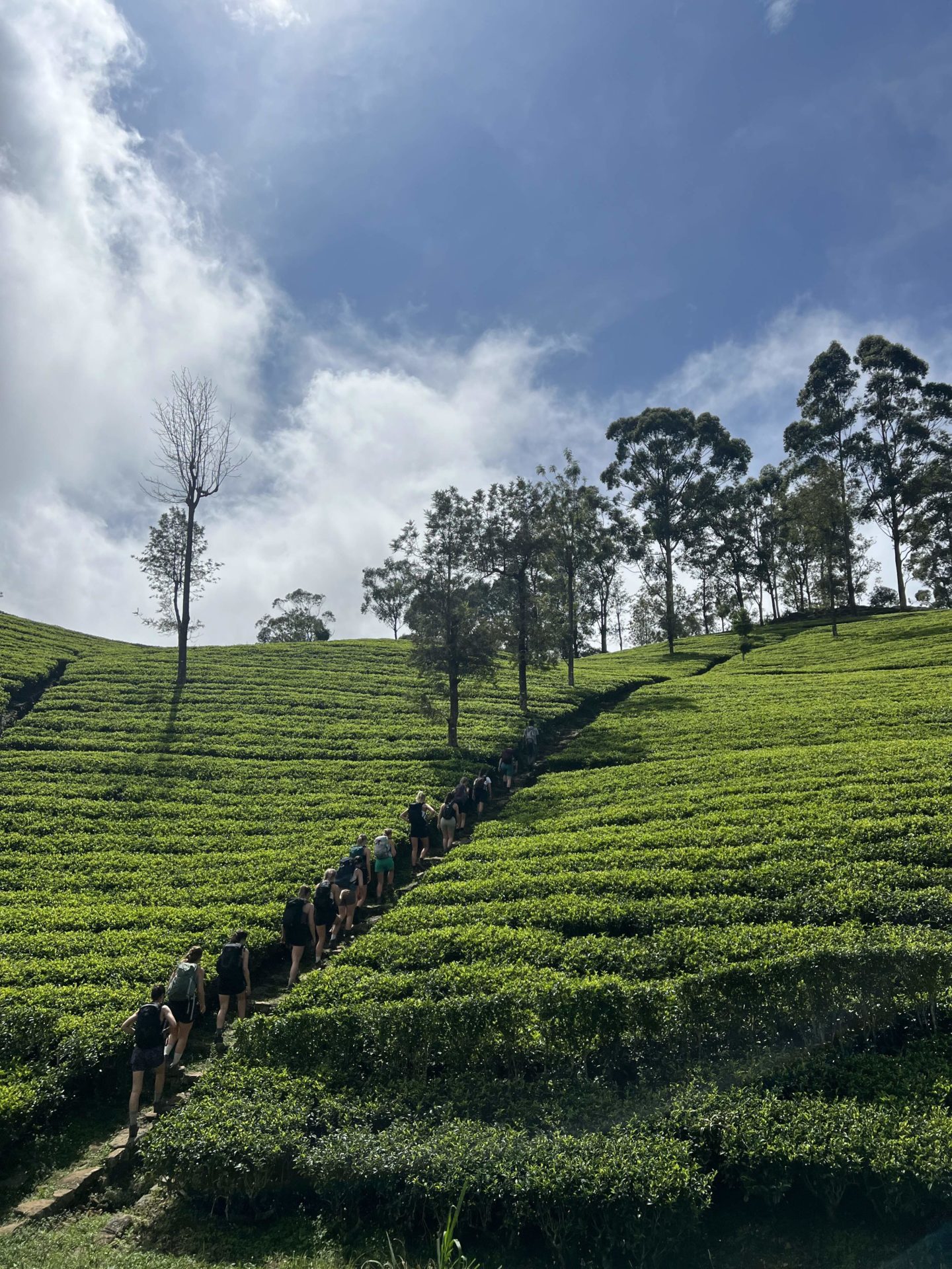 A group of women hiking up a hill in Sri Lanka