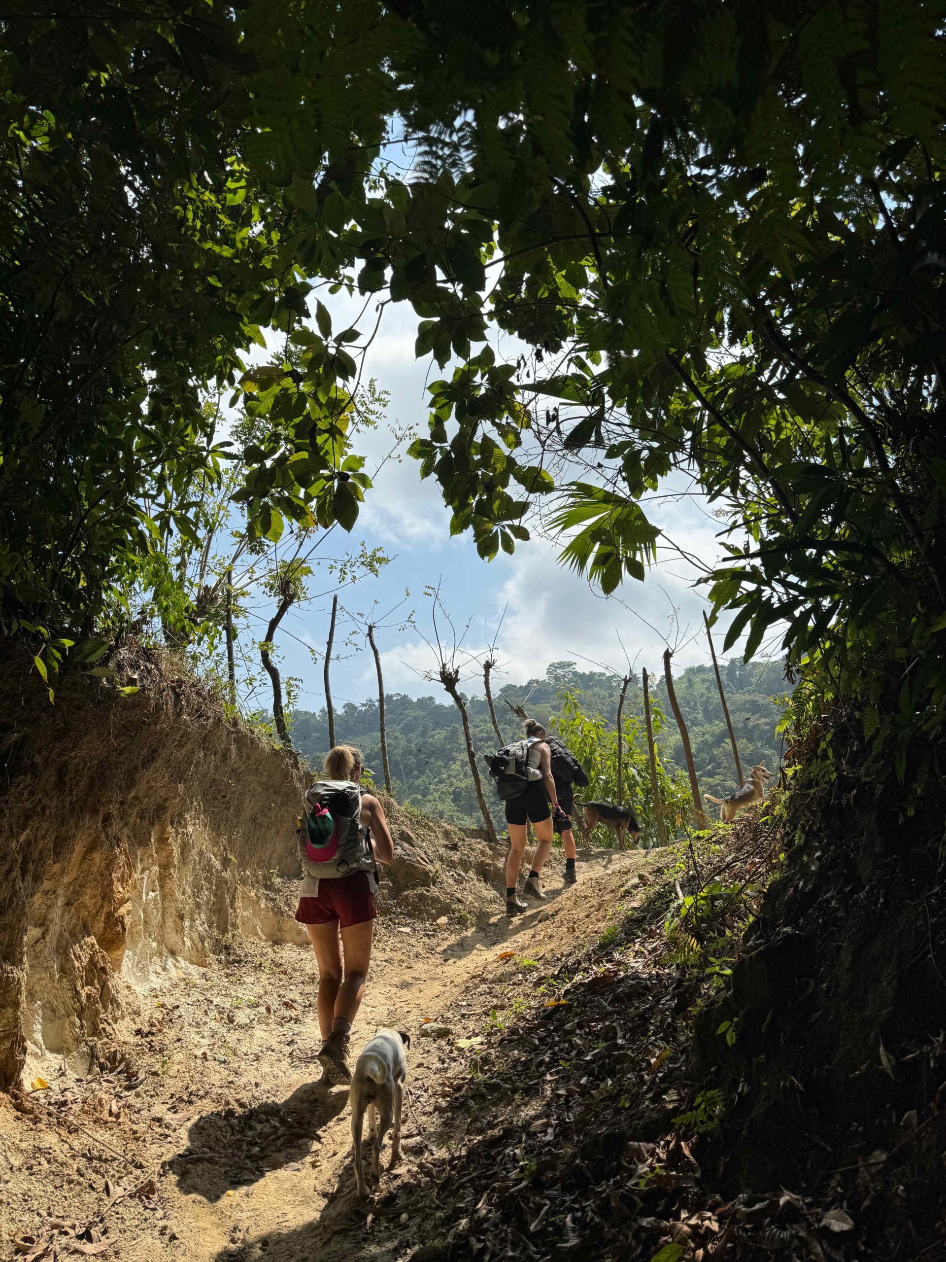 Two women and a dog hiking uphill on the Lost City Trek in Colombia