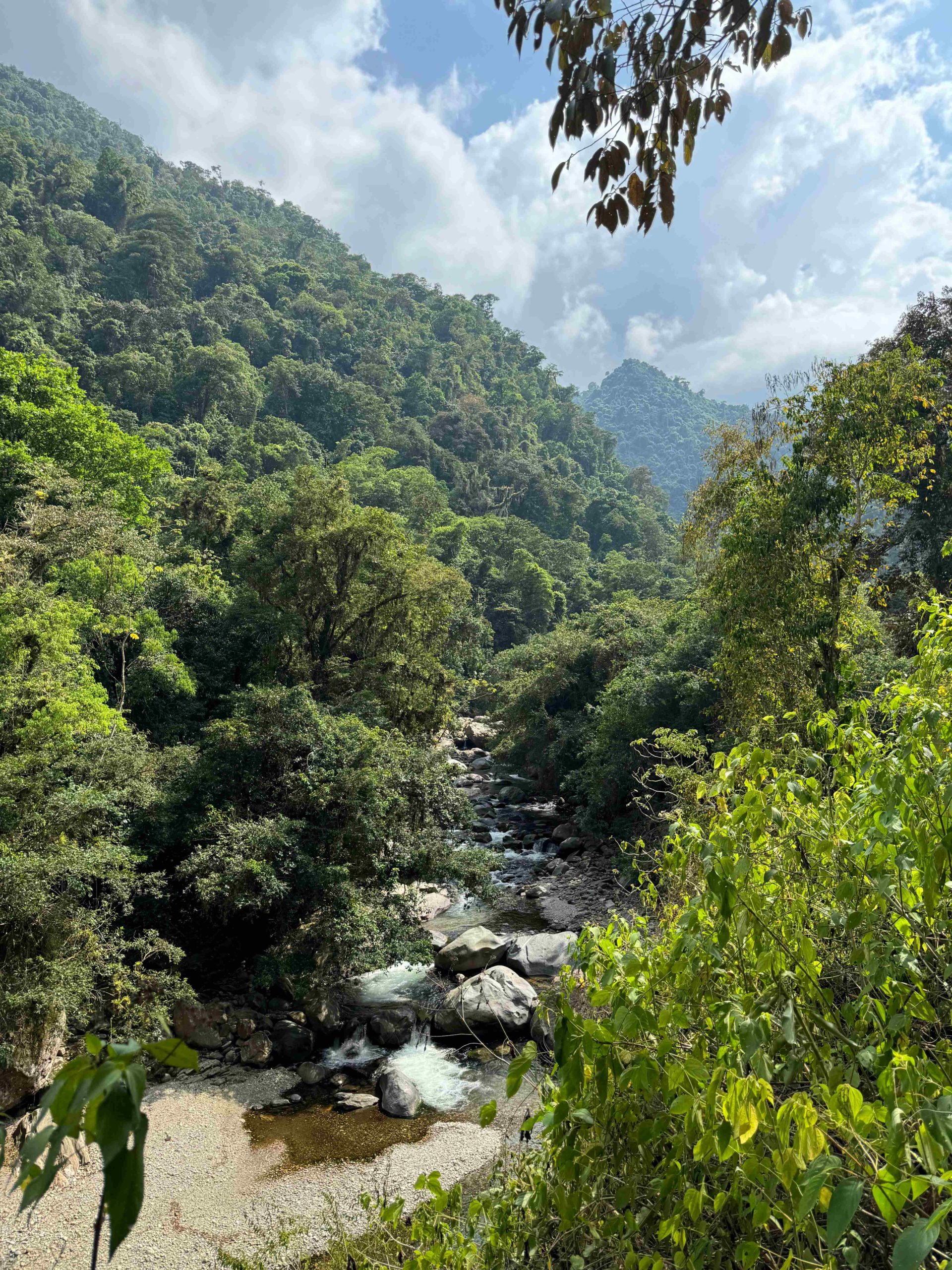 River running downhill on the Lost City Trek in Colombia