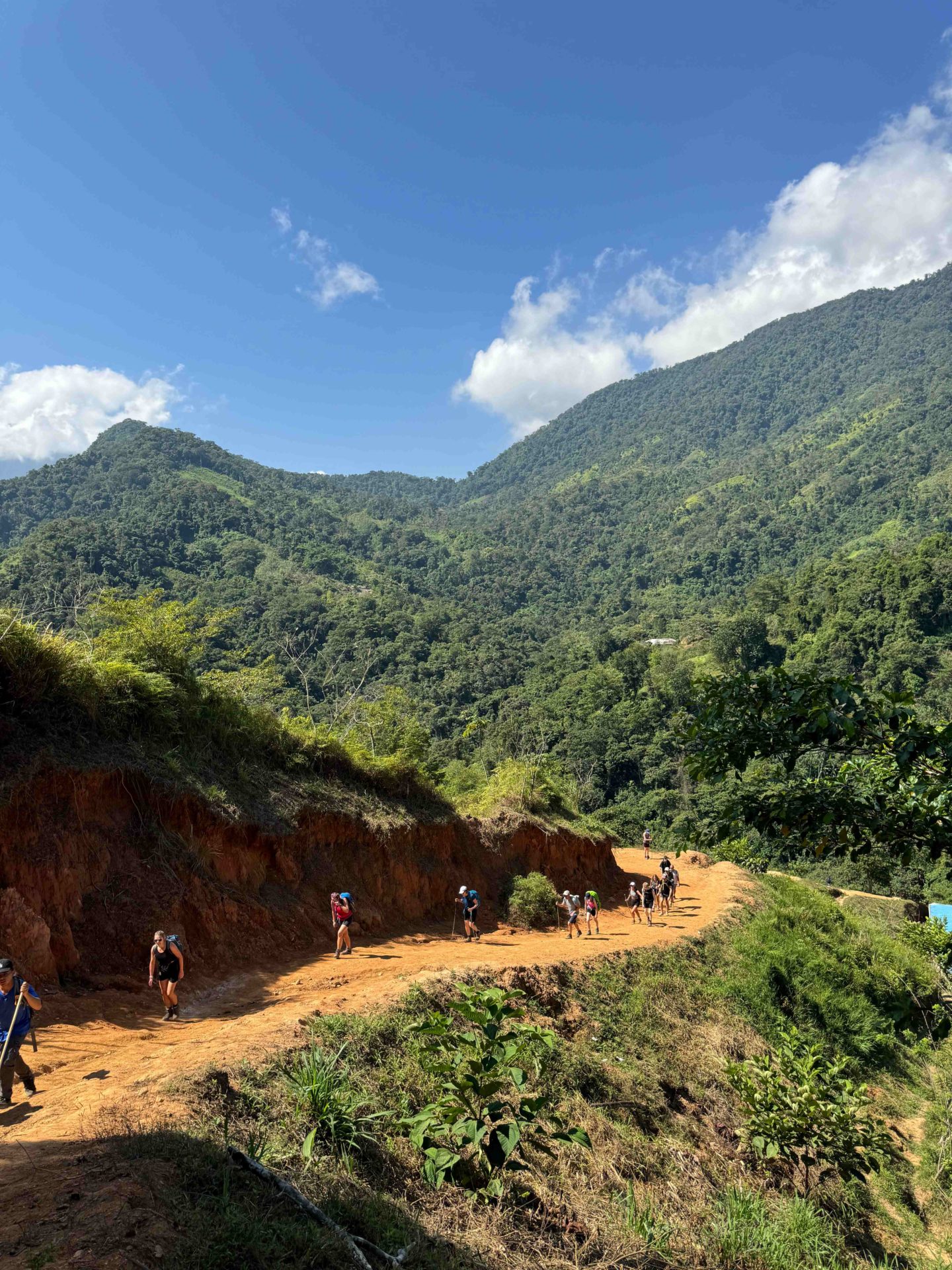 Guests hiking along the Lost City Trek in Colombia